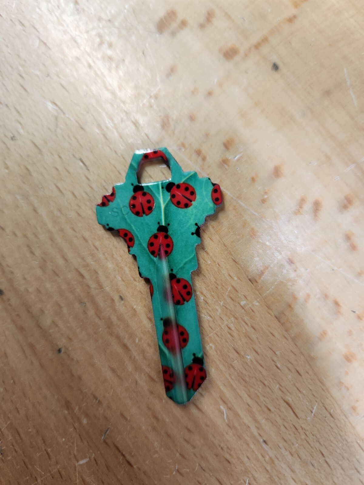 RED LADYBUGS PRINTED SCHLAGE SC1 KEYBLANK - READ DETAILS BELOW