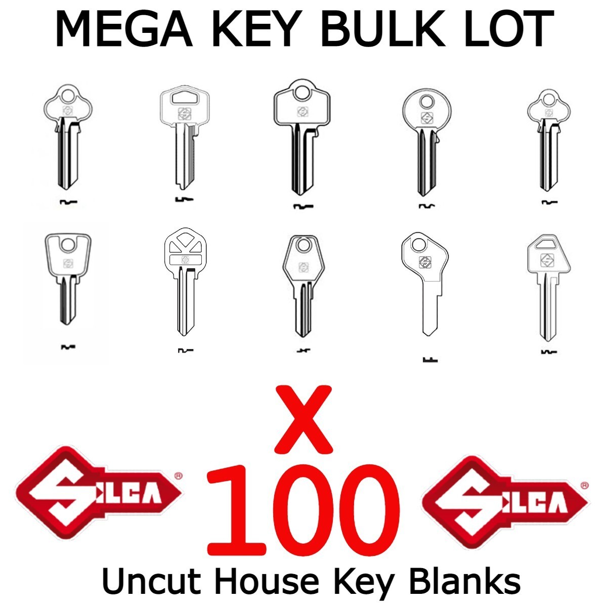 House Key Blanks BULKLOT KIT  x100 Silca key blanks Starter set