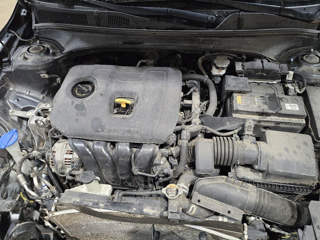 FORTE 2019 Owners Manual 611272