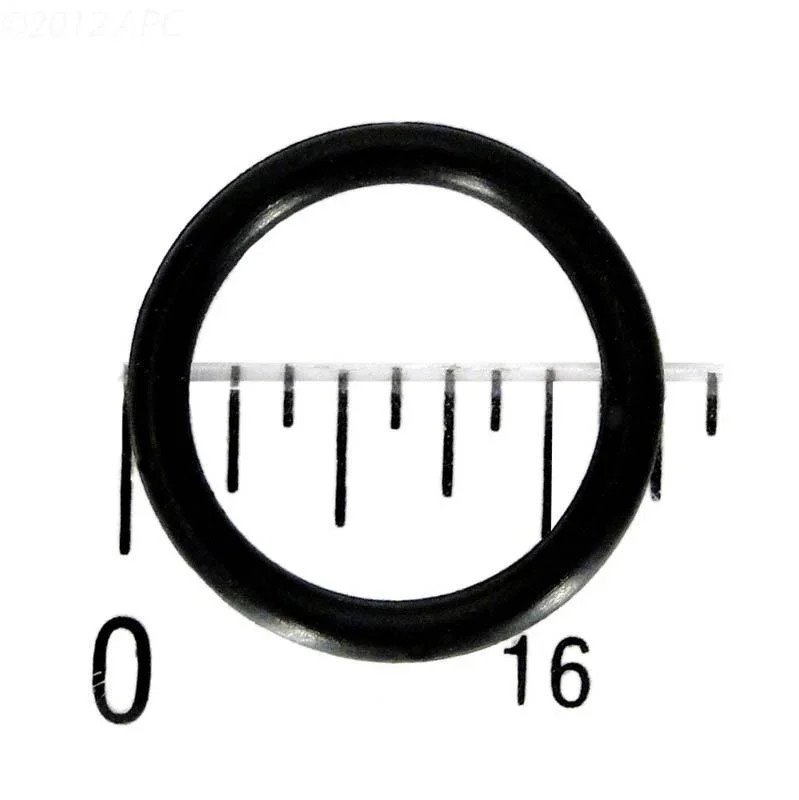 Pentair O-Ring Drain Plug