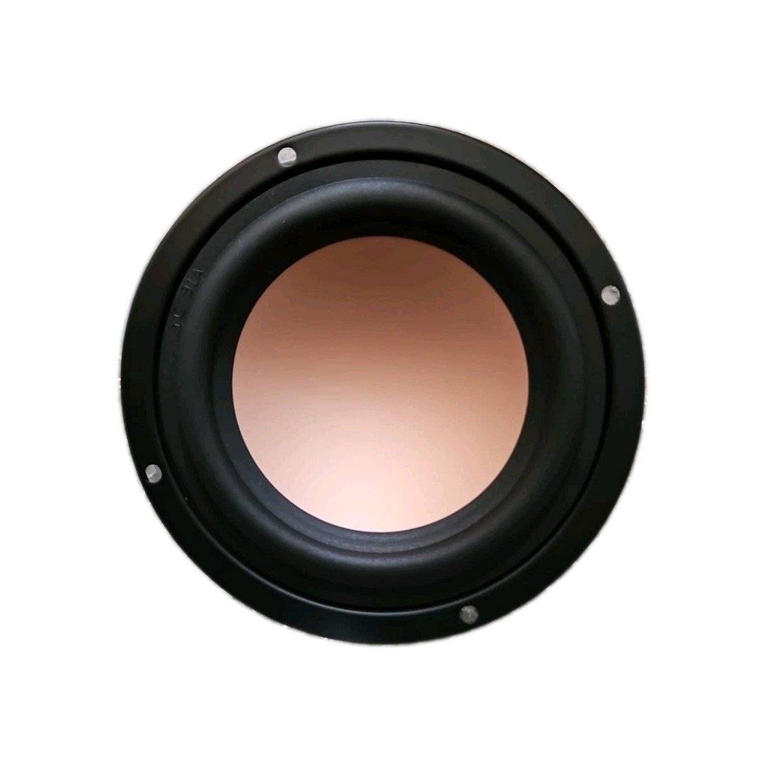 PDQ 04550006 SPEAKER-W/CABLE