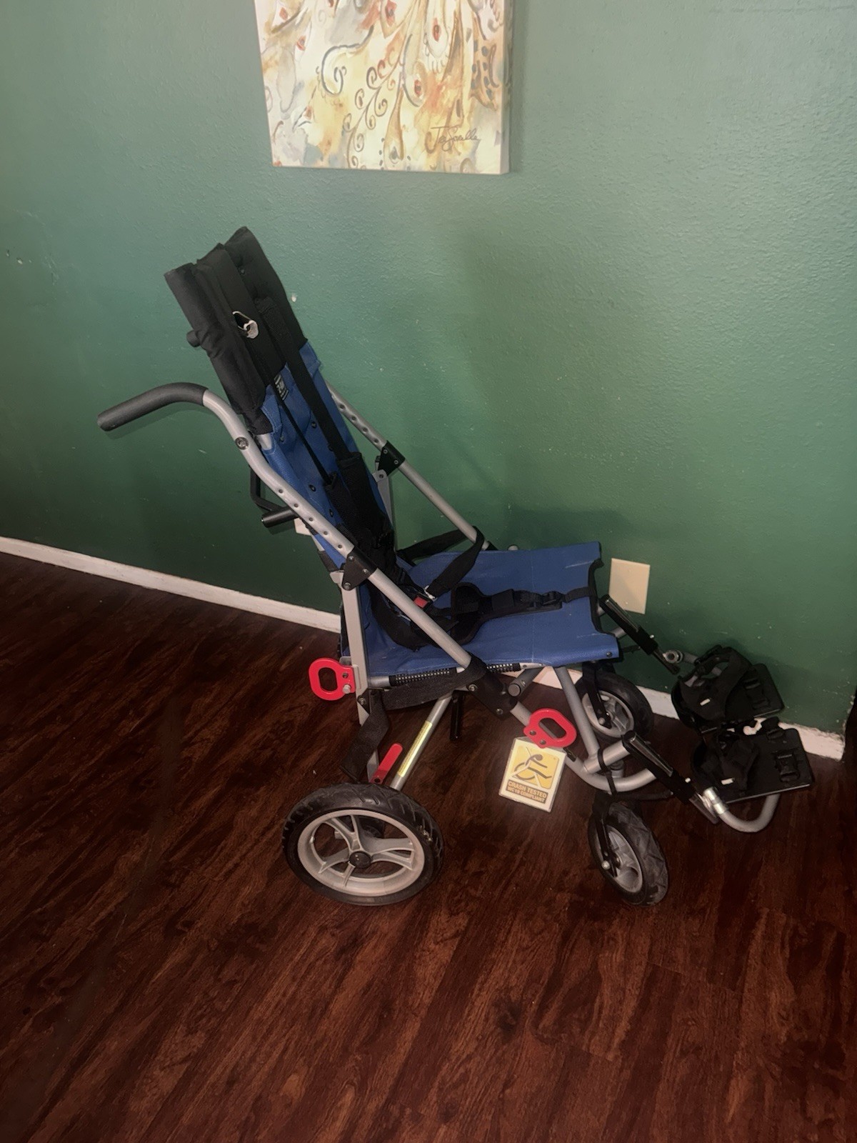 Convaid Eazy Rider Size 14 Special Needs Stroller