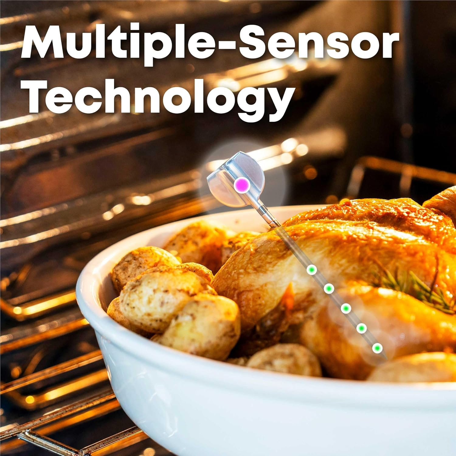 Protemp 2 plus Needle Probe Wireless Meat Thermometer with Temperature Controlle