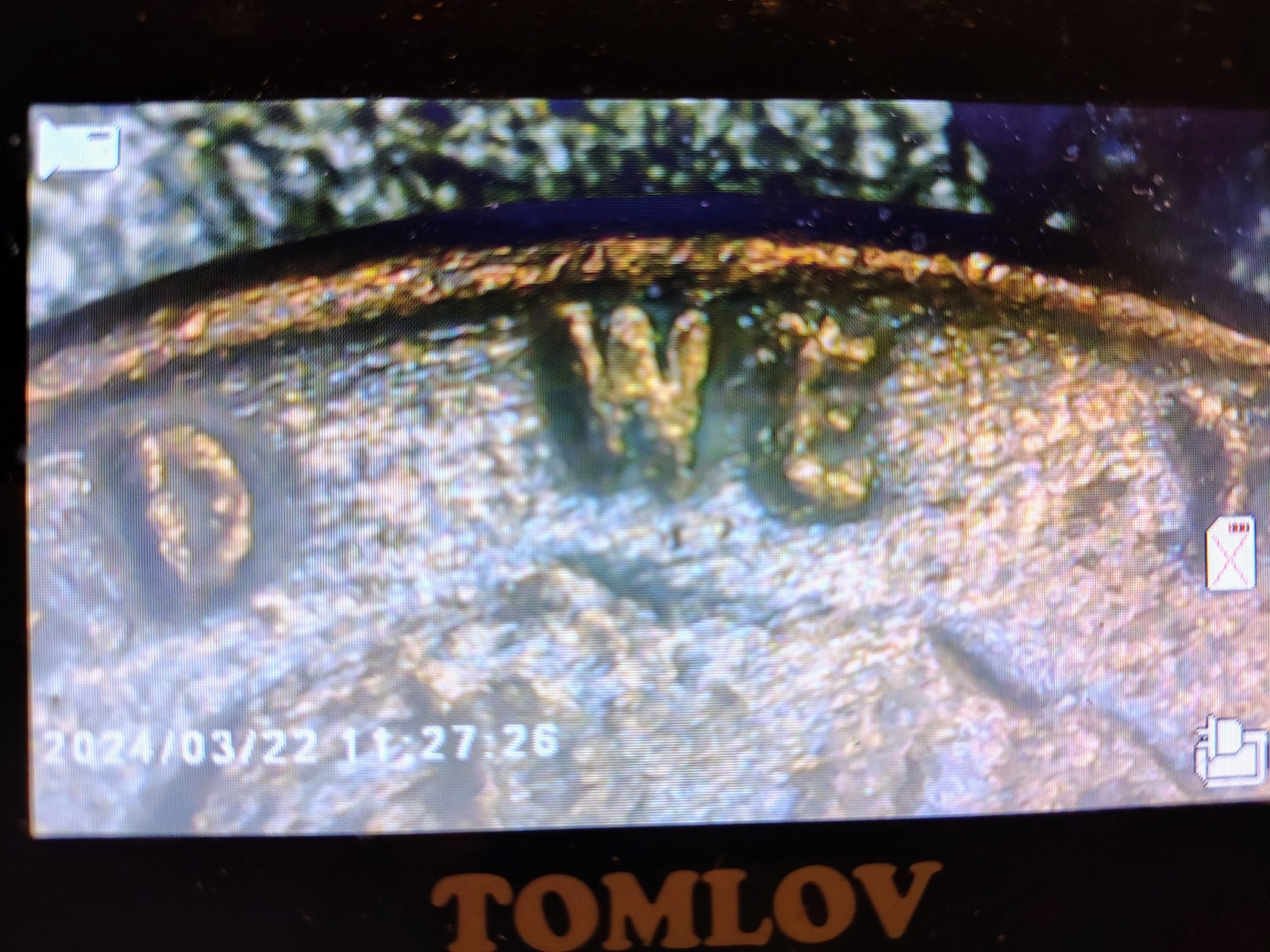 1948 D Wheat Sent Obverse And Reverse Debris Strike Error