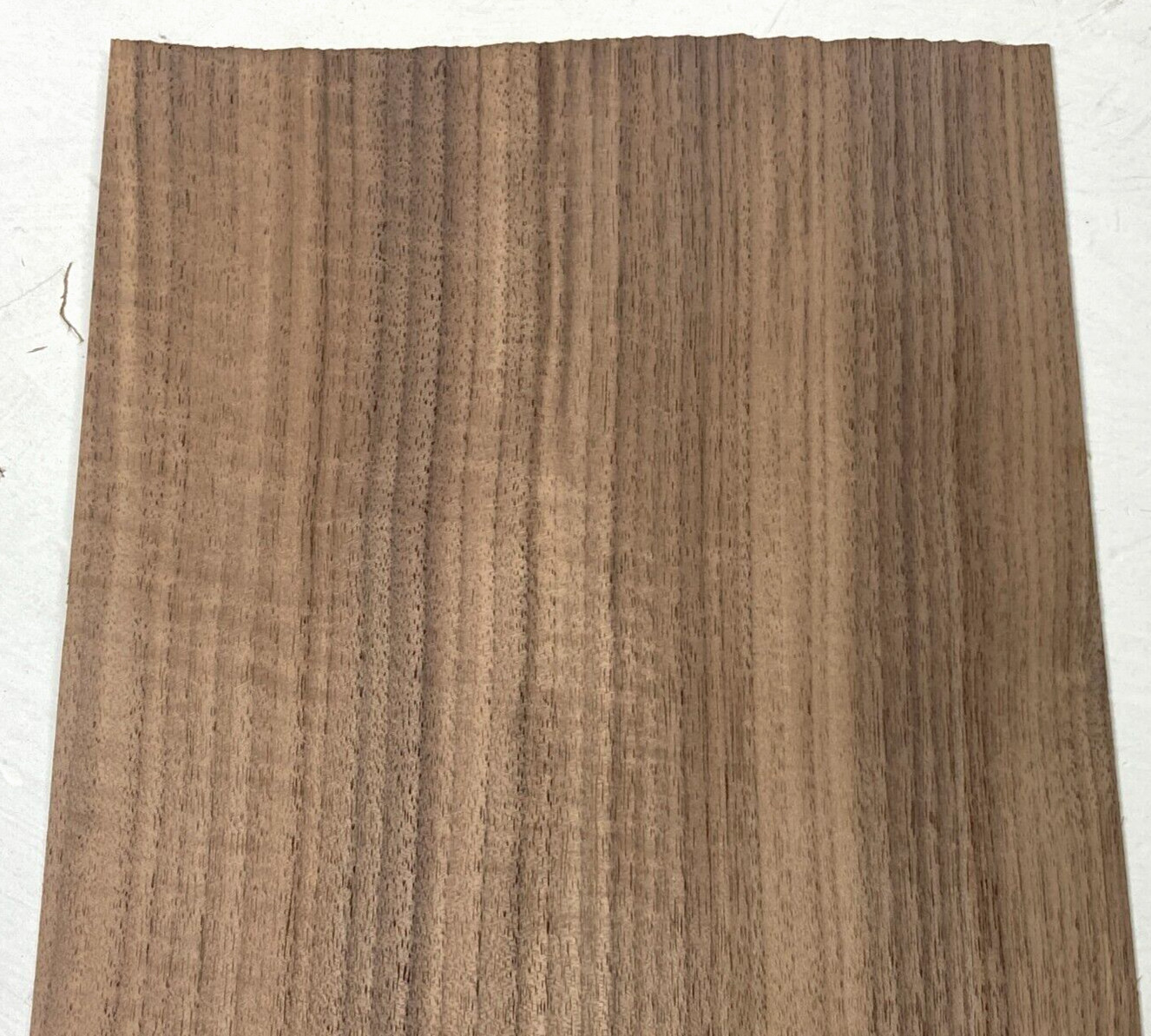 Walnut Raw Wood Veneer Sheet 9 x 36 inches 1/42nd thick  BLEMISHED     N35135-66
