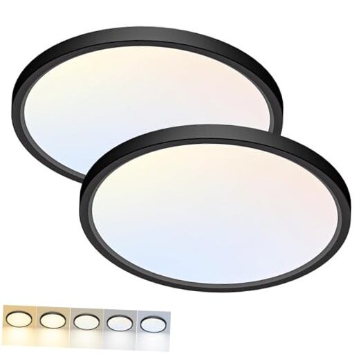 2 Pack LED Flush Mount Ceiling Light,12Inch 12 Inch-2pack Black