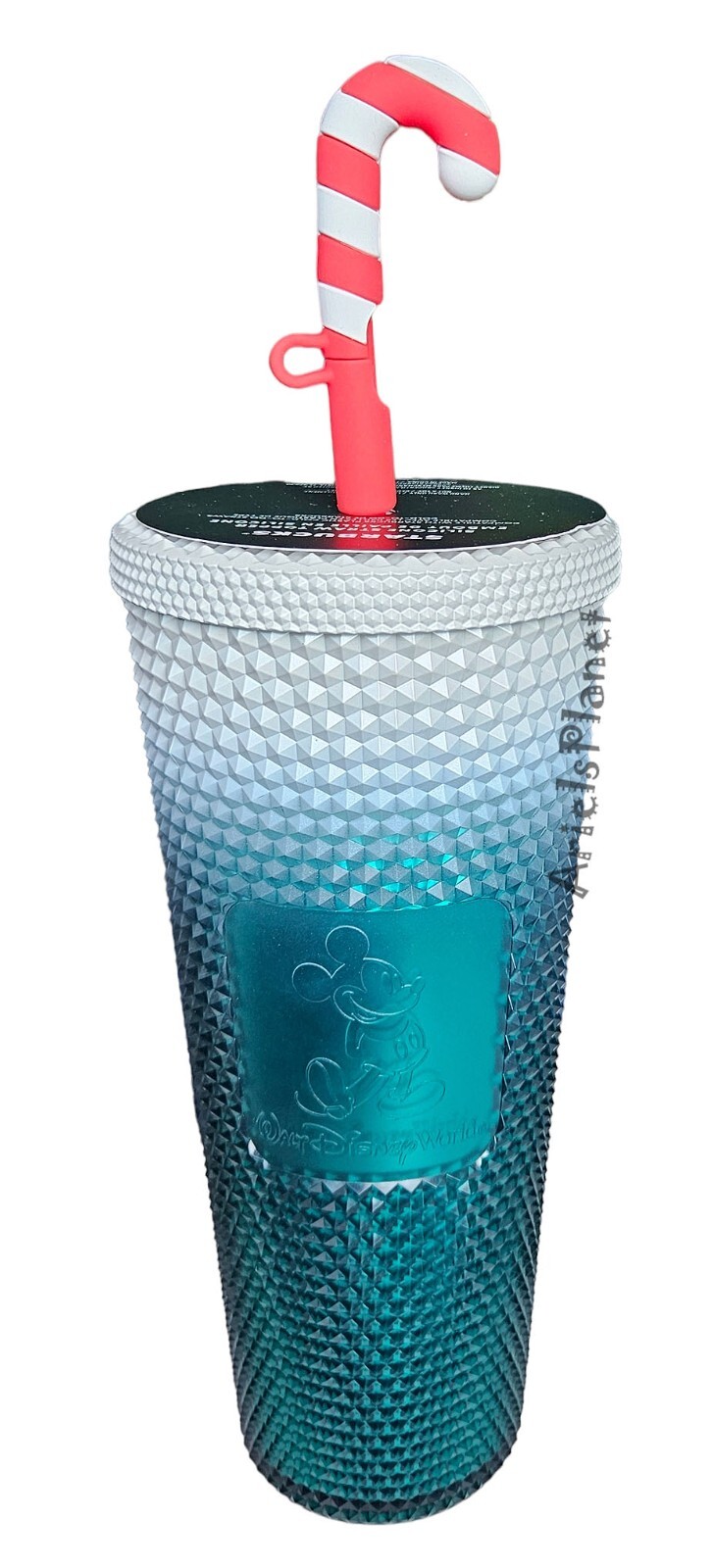Walt Disney World Parks Starbucks Mickey Christmas Holiday Tumbler w/Straw