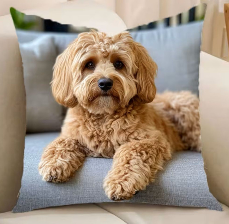 Doodle Puppy dog relaxing--Zippered Pillow Cover-17.7 x 17.7-inch