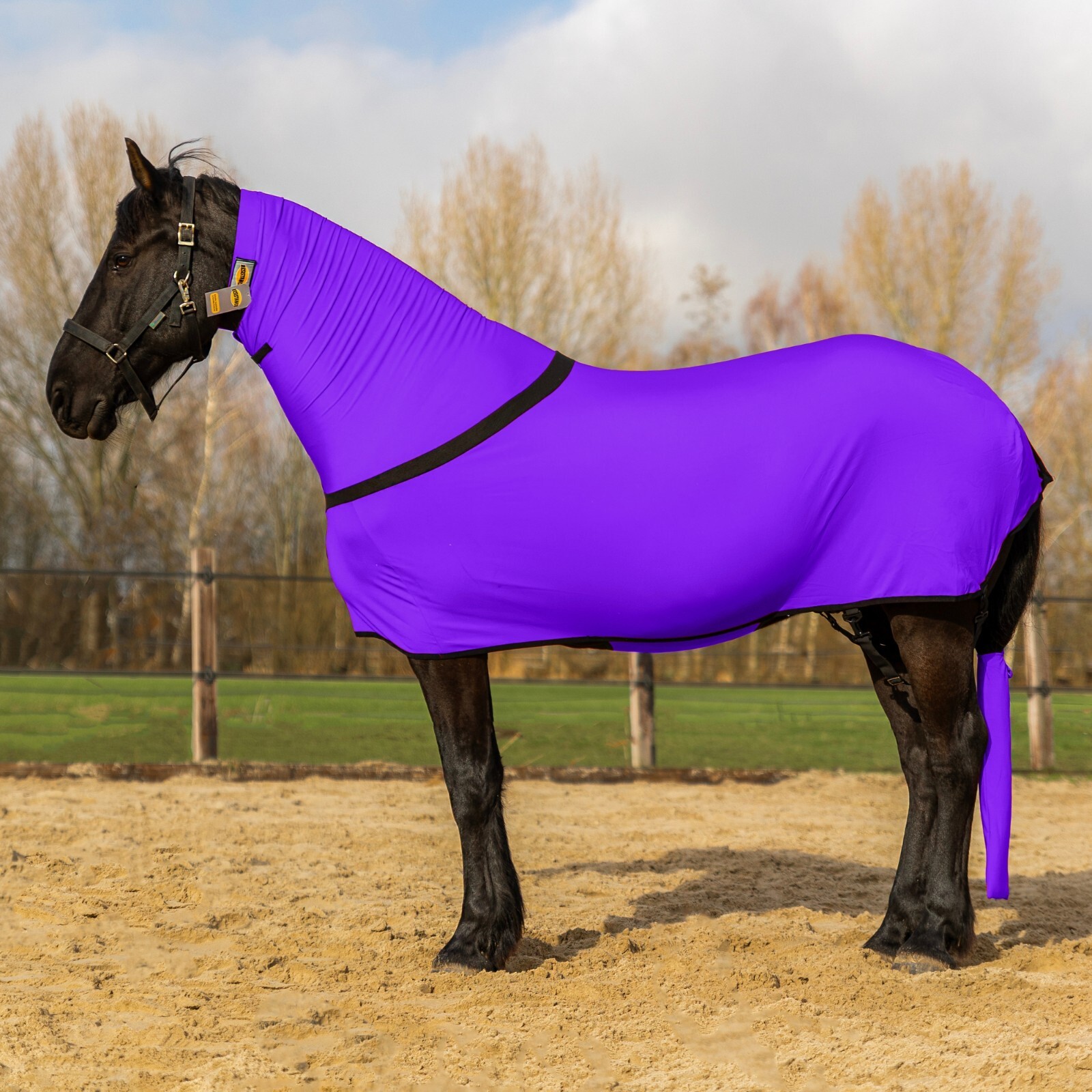 Premium Horse Sleazy Full Body Slicker with Full Zipper & Faceless Care Sheet