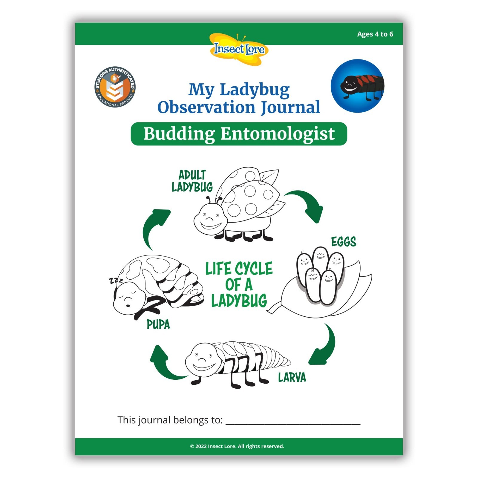 Ladybug Larvae Kit - 2 Tubes with STEM Journal - Raise & Release Pink Spotted La