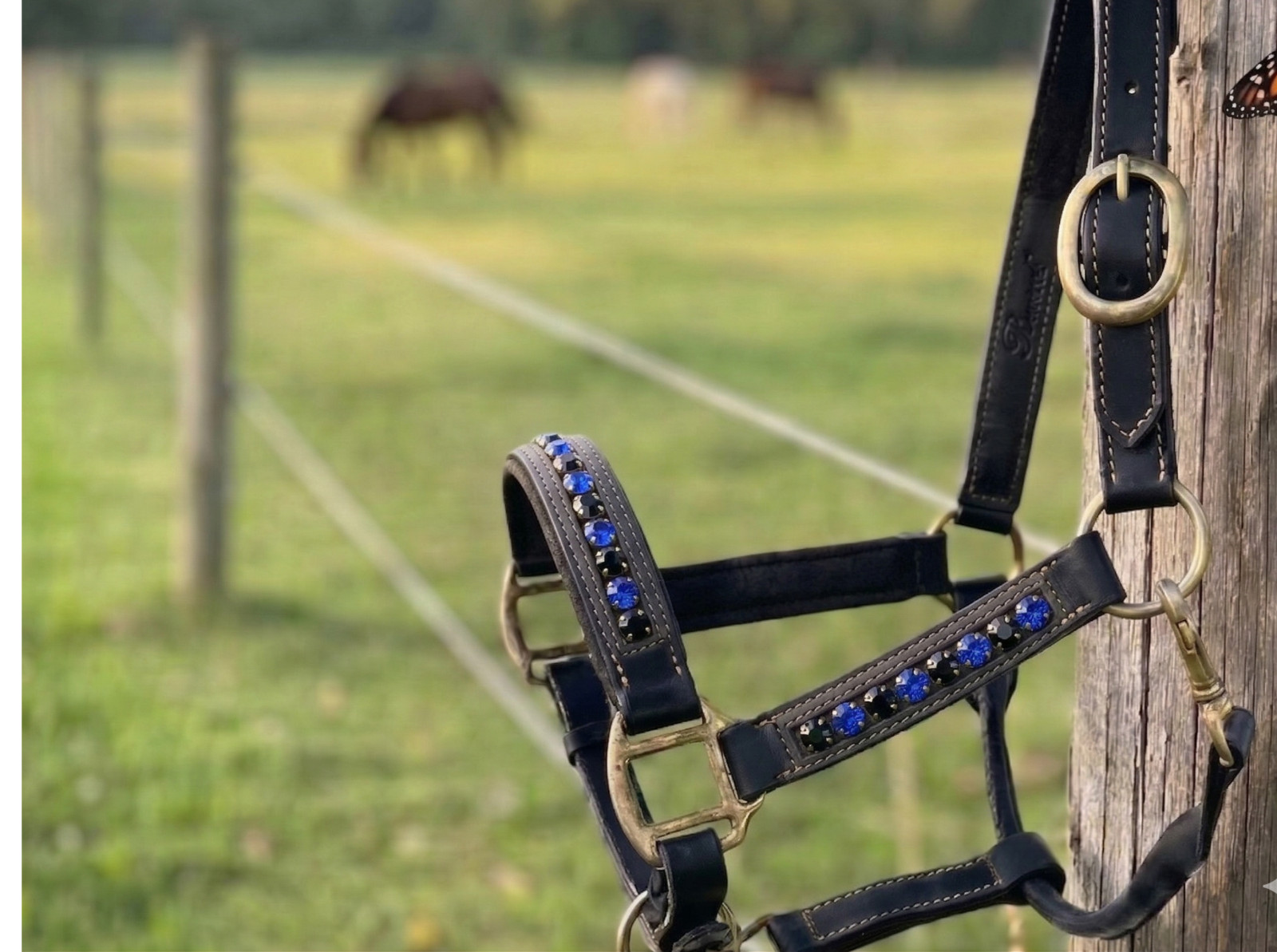 Leather Horse Halter with  Crystal Browband | Handmade Crystal Halter