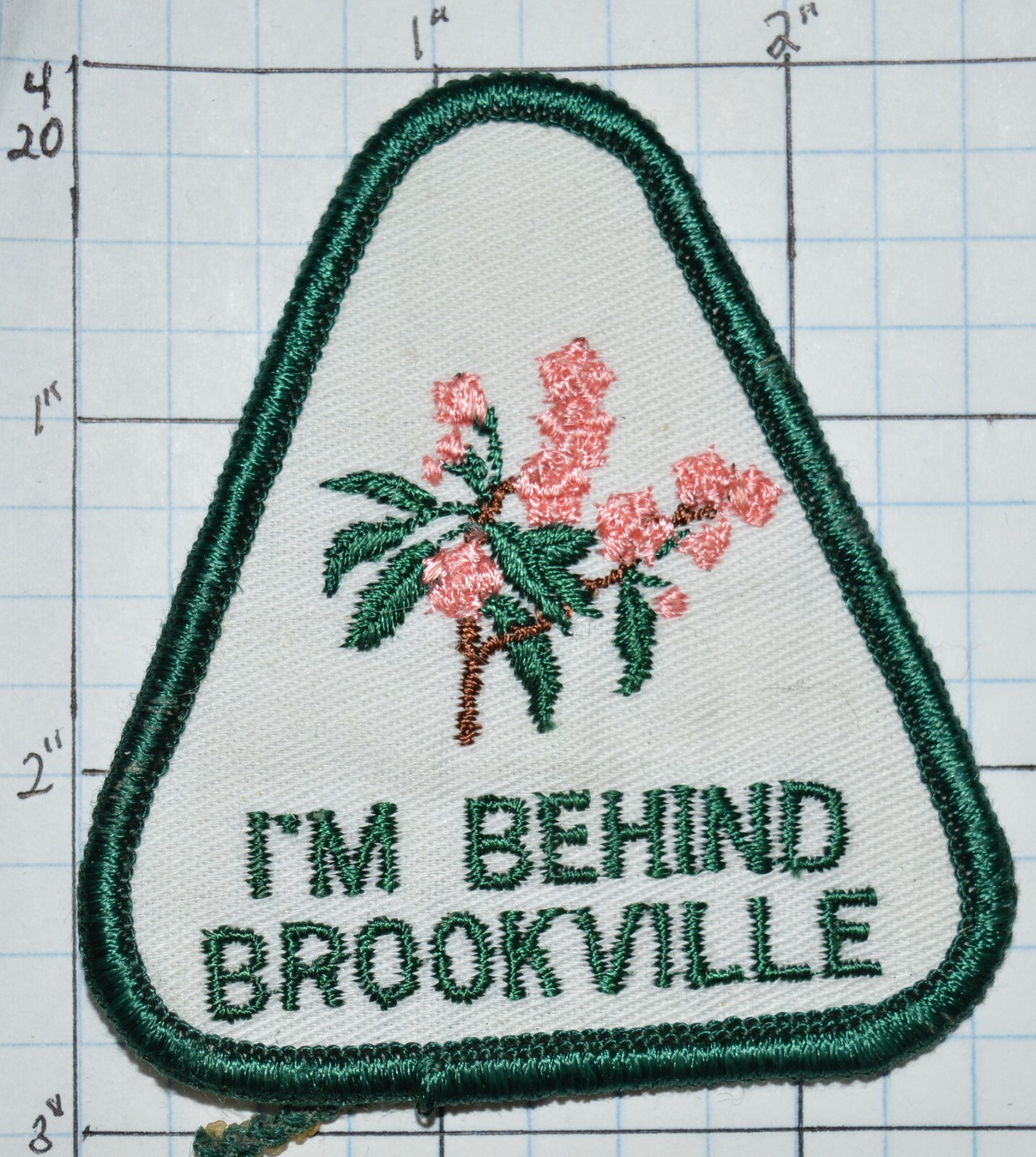 BOROUGH OF BROOKVILLE PENNSYLVANIA "I'M BEHIND BROOKVILLE" MOUNTAIN LAUREL PATCH