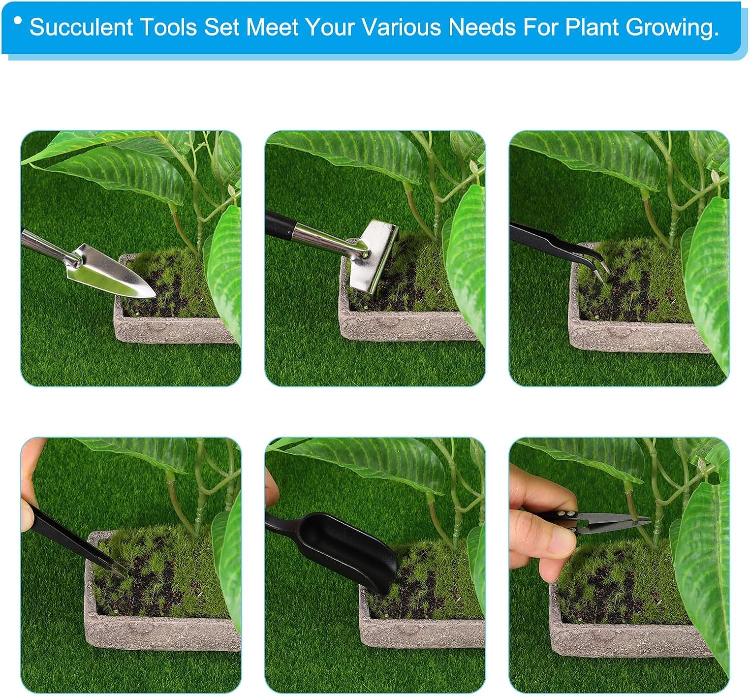 PATIKIL Succulent Tools Set, 12 Pcs Transplanting Set Mini Garden Black
