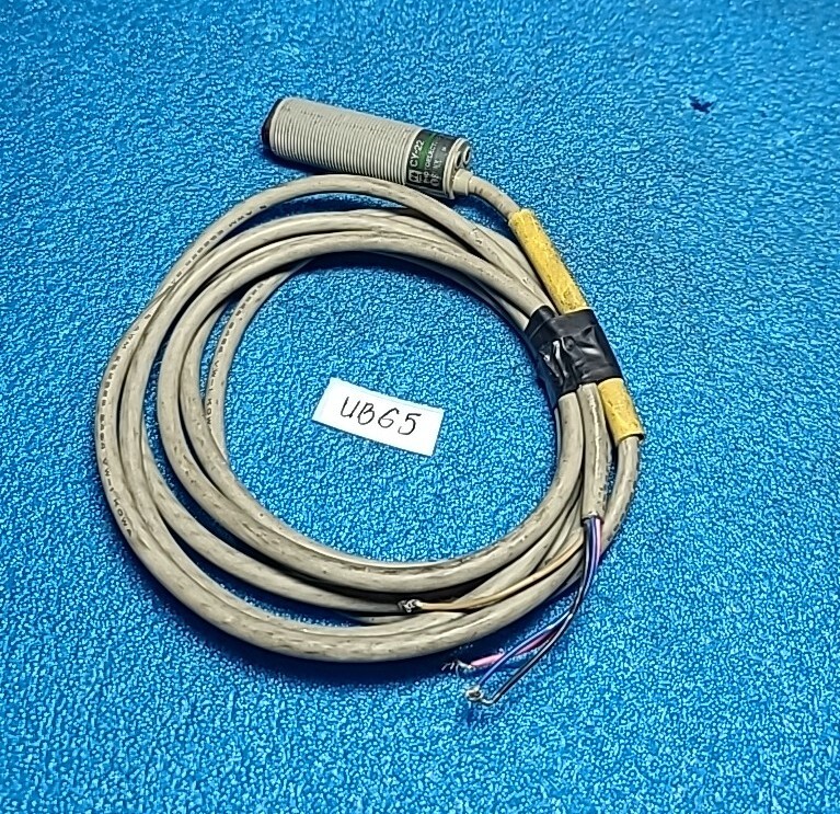 SUNX CY-22