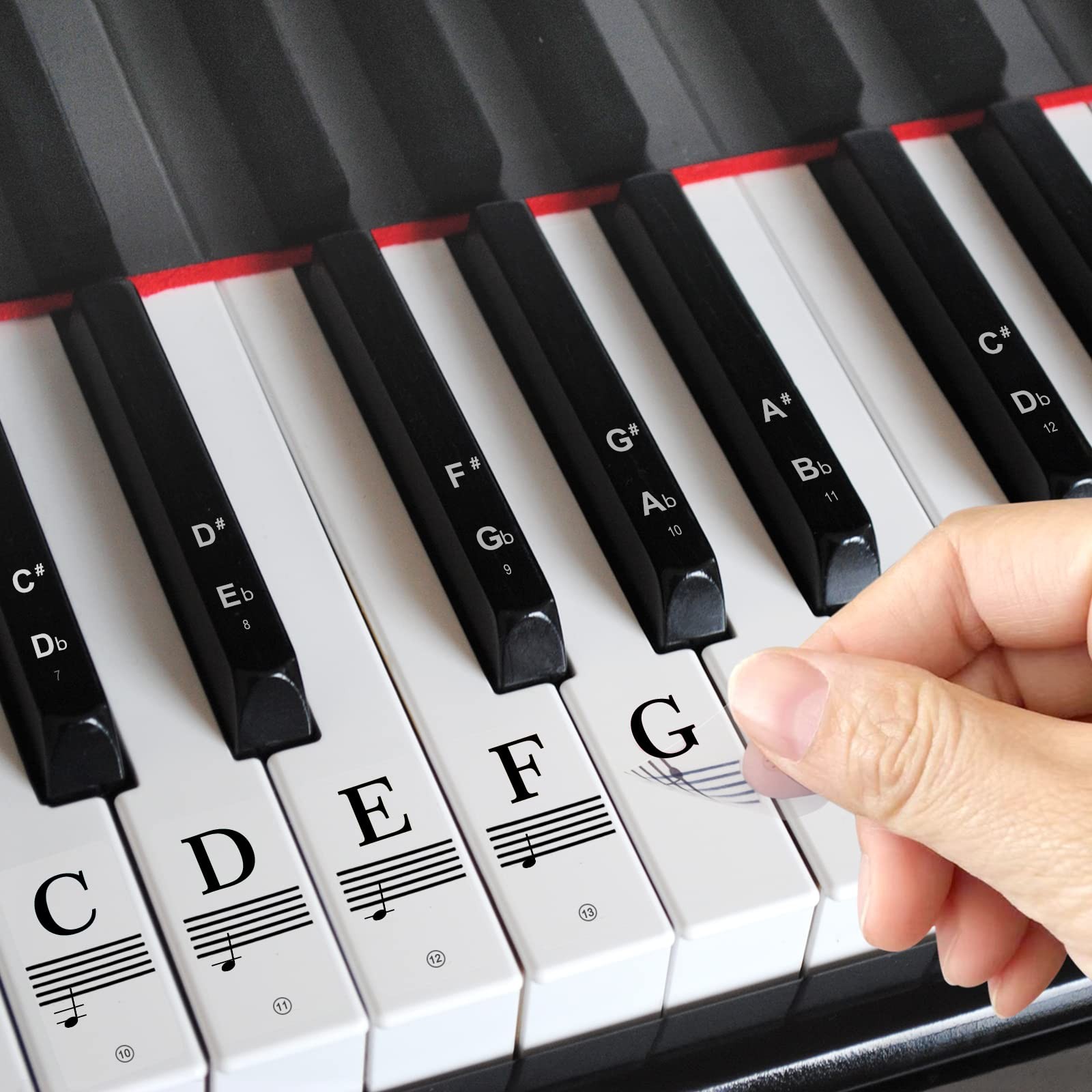 Removable Piano Keyboard Note Stickers for Beginners - 88 Key Labels
