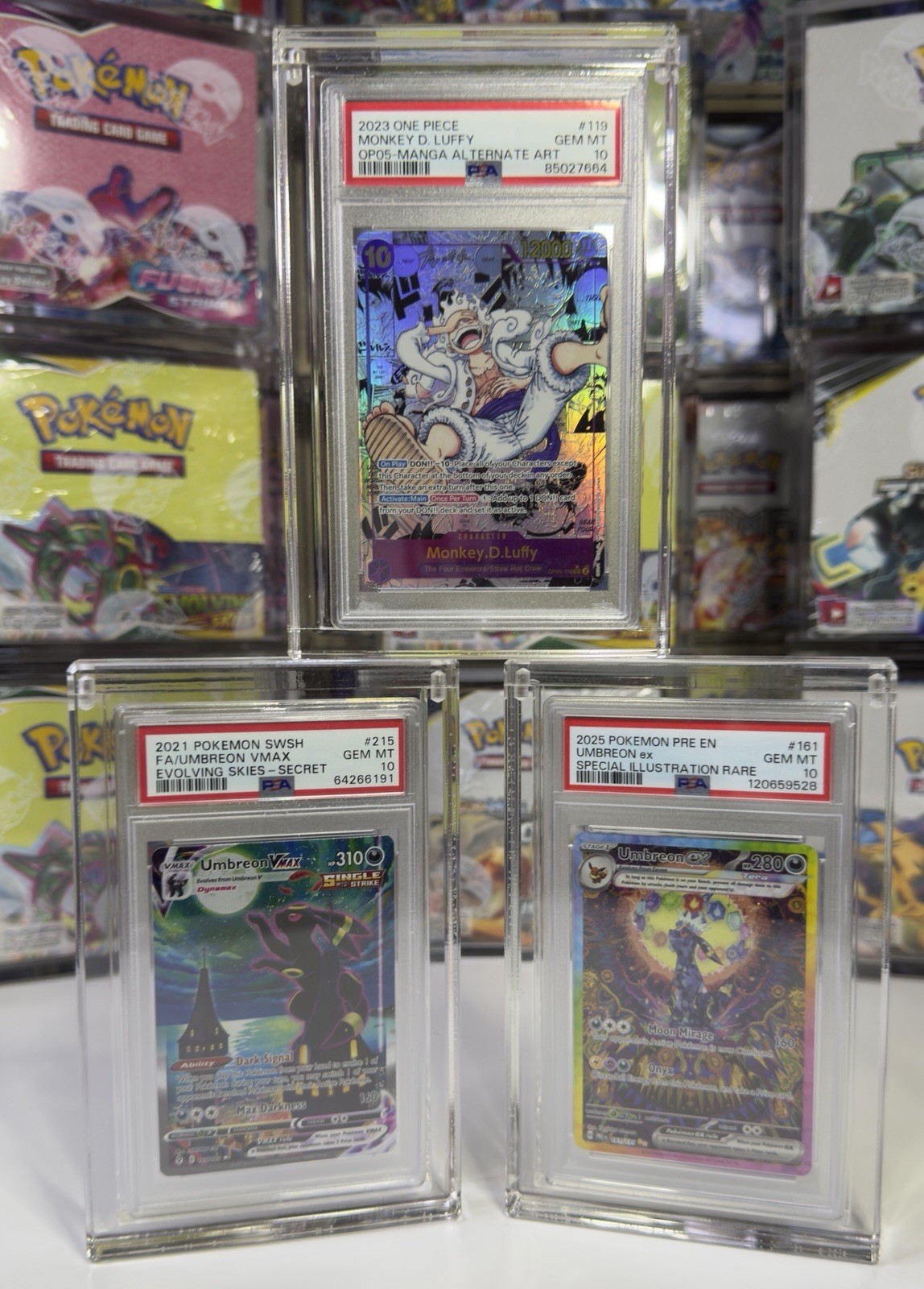 PSA TAG CCG Graded Card Slab Acrylic Case Display With Magnetic Lid