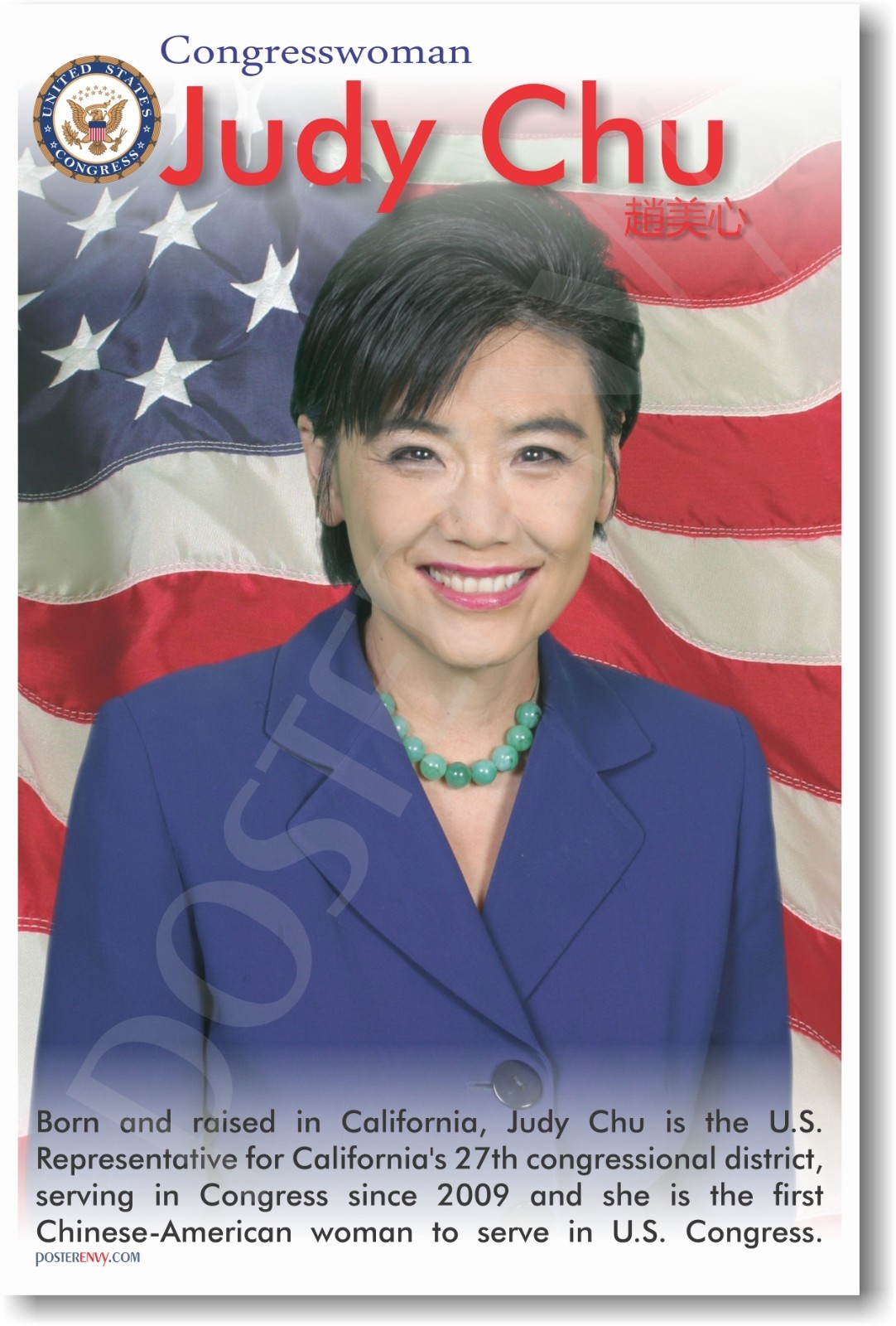 Judy Chu - Asian American Congresswoman - NEW Famous Person Motivational POSTER