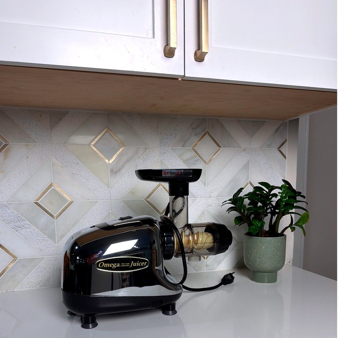 Omega Masticating Juicer Chrome Black Fruit Vegetable Cold Press 8000 Series