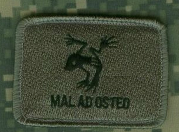 AFGHANISTAN JOINT TASK FORCE JTF vêlkrö PATCH: WITH YOUR SHIELD or ON IT (Red)