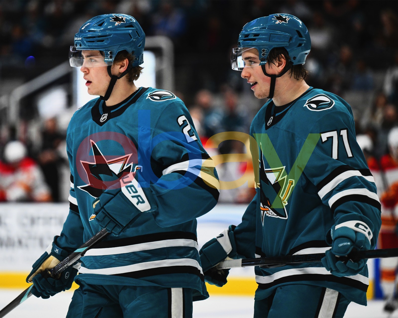 Will Smith & Macklin Celebrini Action San Jose Sharks 8x10 NHL Hockey Photo