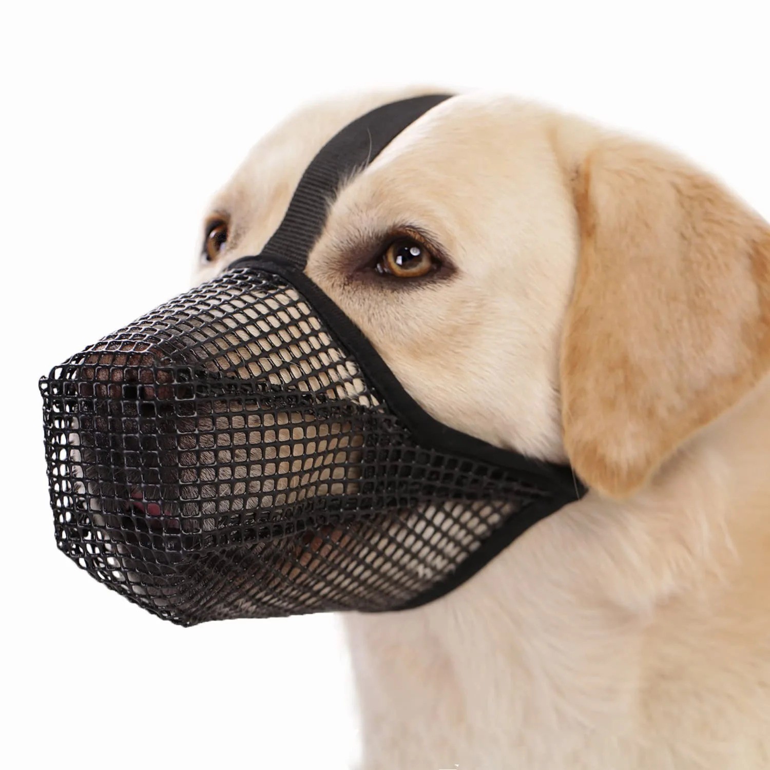 Dog Muzzle for Medium to Large Dogs Soft Nylon Breathable & Adjustable Straps