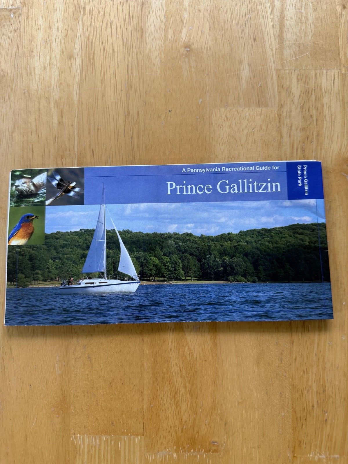 Prince Gallitzin State Park Pennsylvania Guide Map Folded Brochure USA