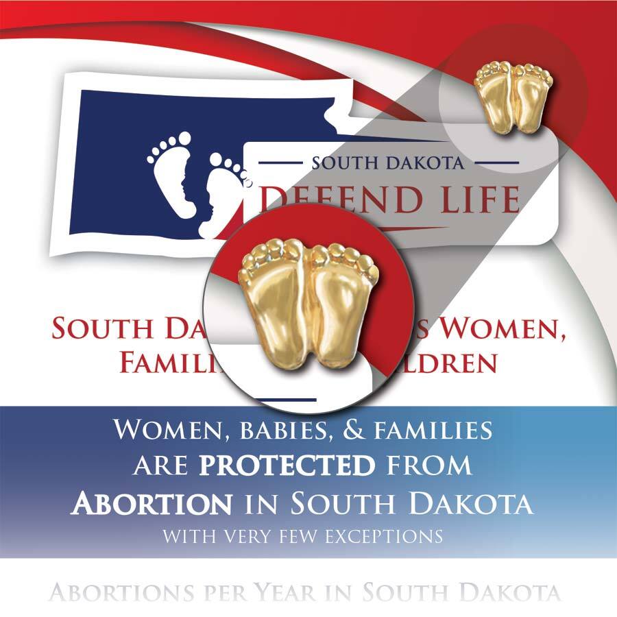 Precious Feet, Gold-Colored, South Dakota Stats Card Jewelry, Lapel Pin