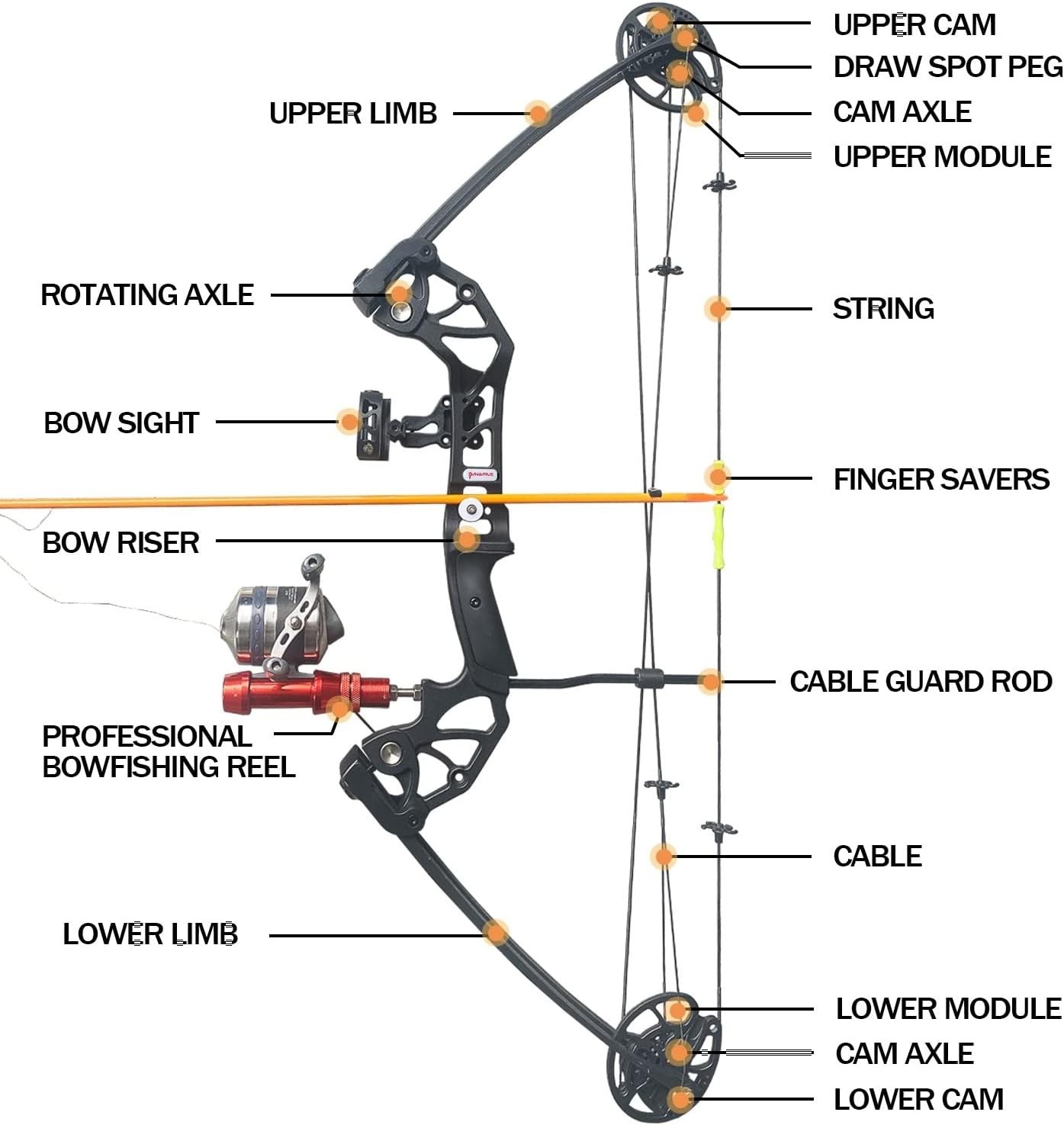 Compound Bowfishing Kit 15-45 LBS Right Handed