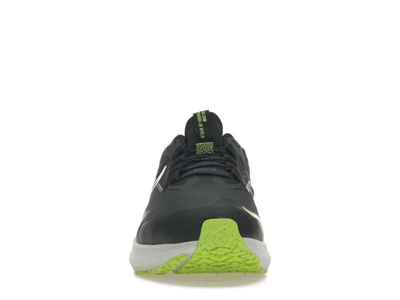 Nike Zoom Pegasus 39 Shield Black - DO7625-002