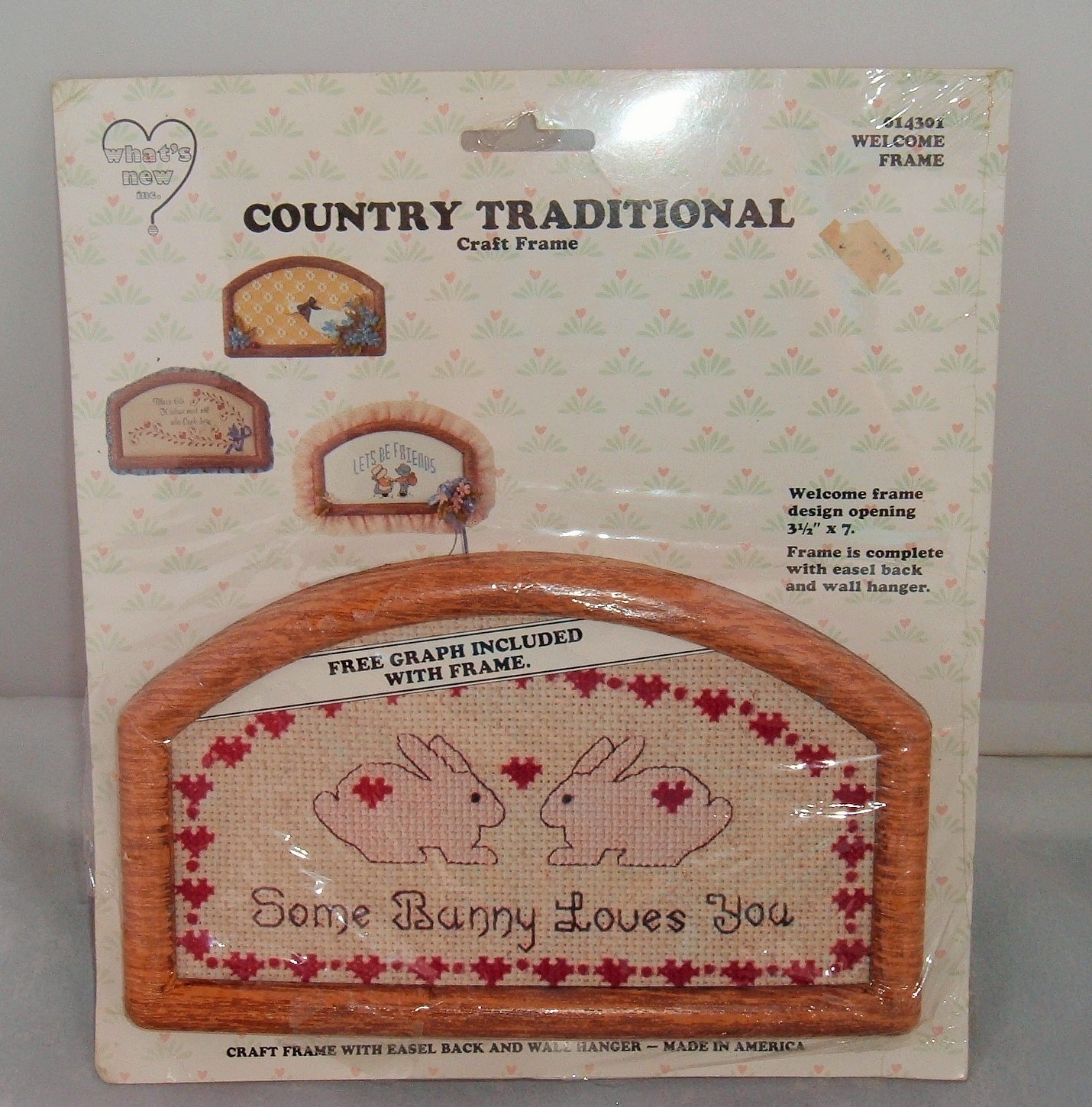 Vtg "Some Bunny Loves You" What's New Country Traditional Craft Frame & Chart