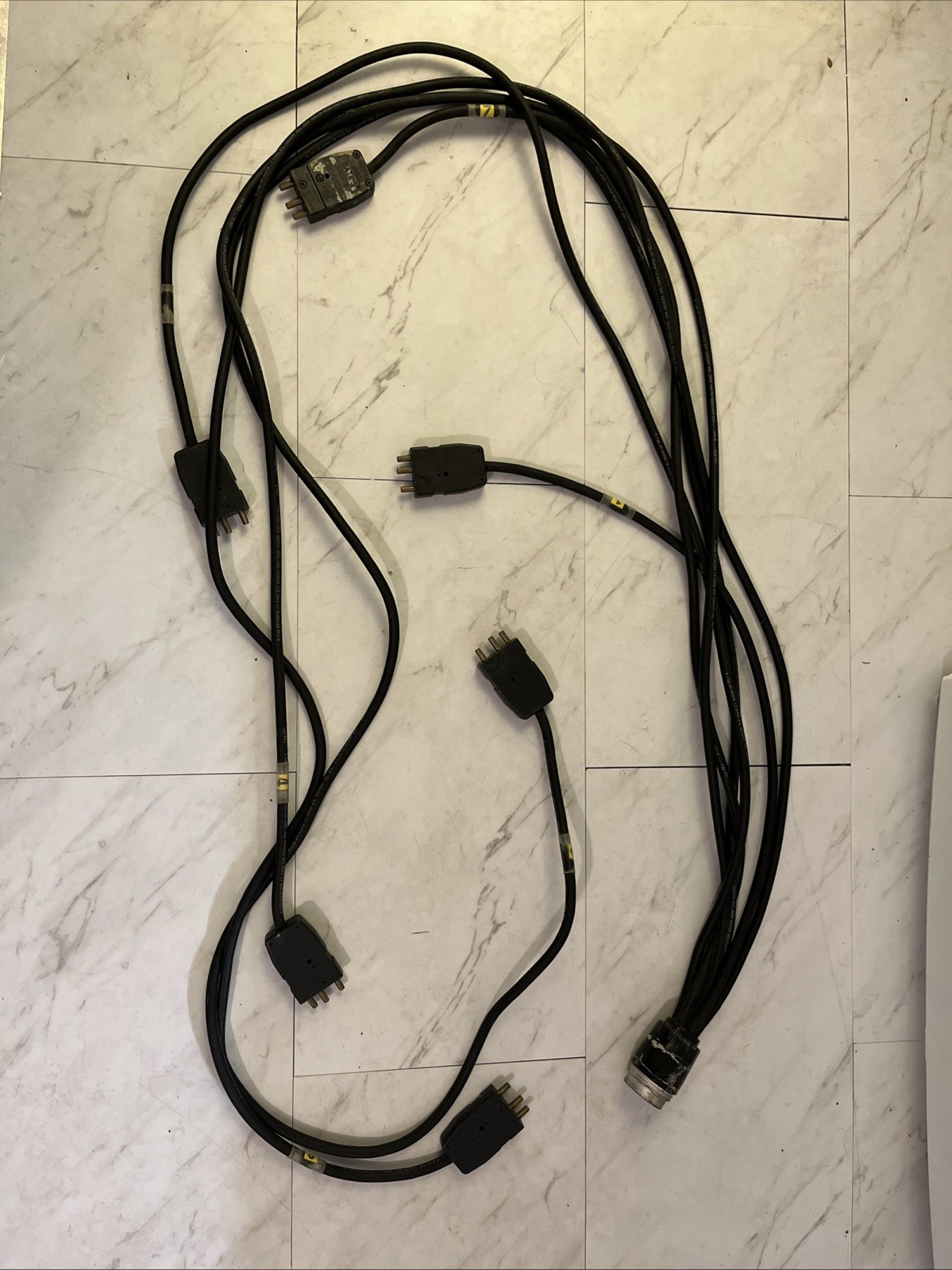 Staggered Socapex Break-in Cable 19 Pin Female 6 Stagepin Male Breakin 12/3
