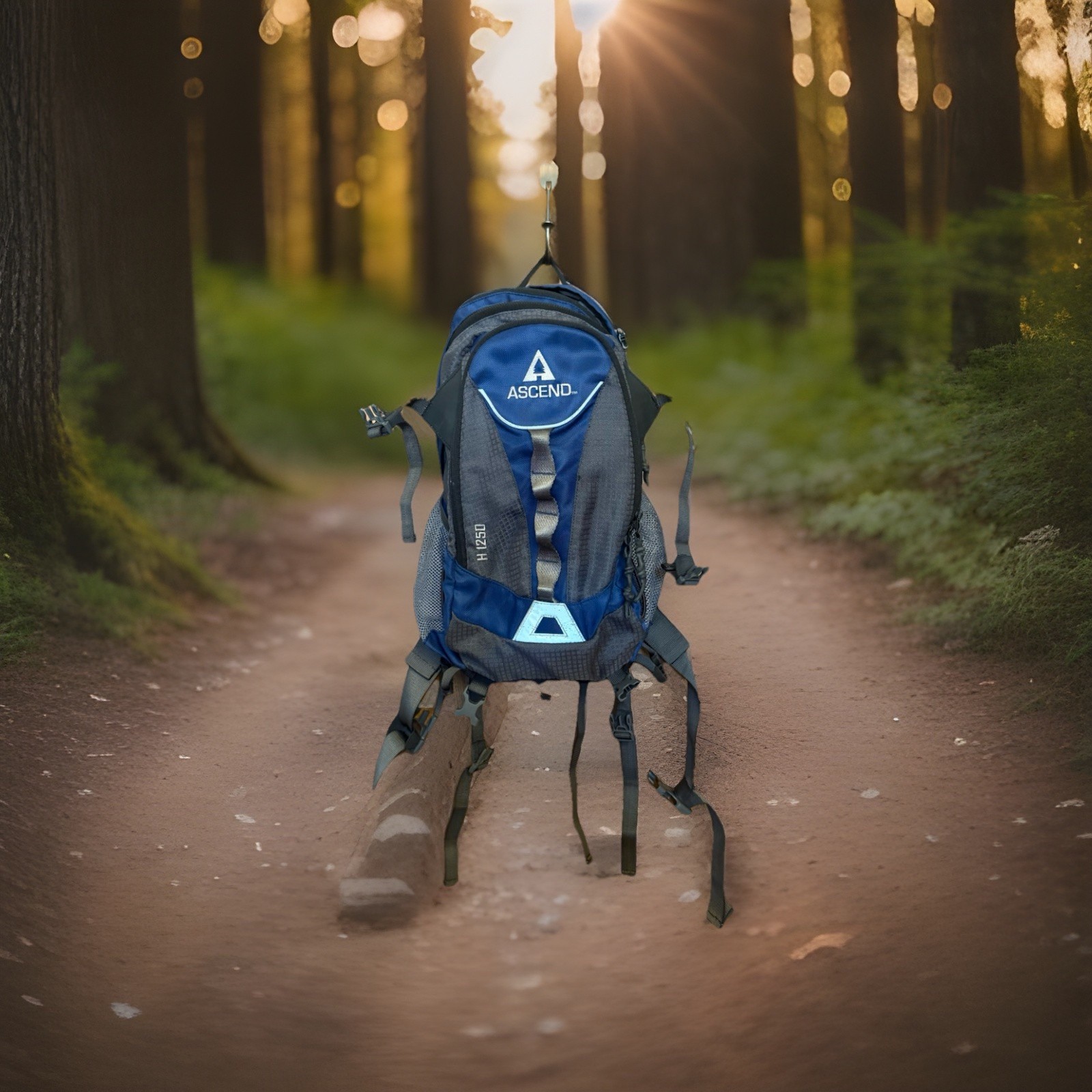 Ascend H1250 2L Hydration Backpack Pack (bladder not Included)