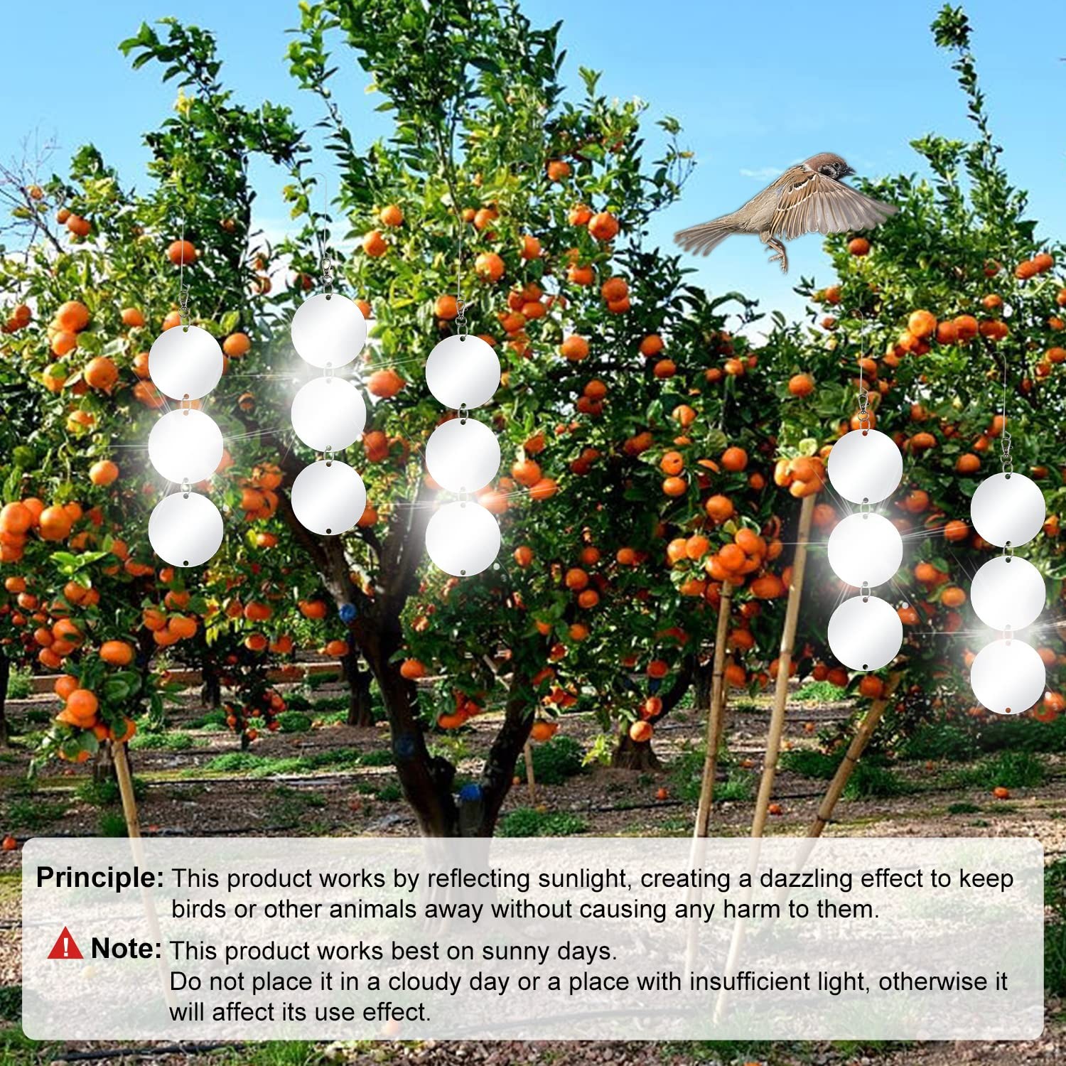 30 Pack Bird Scare Discs Set-Highly Reflective Double-Sided Bird Reflectors