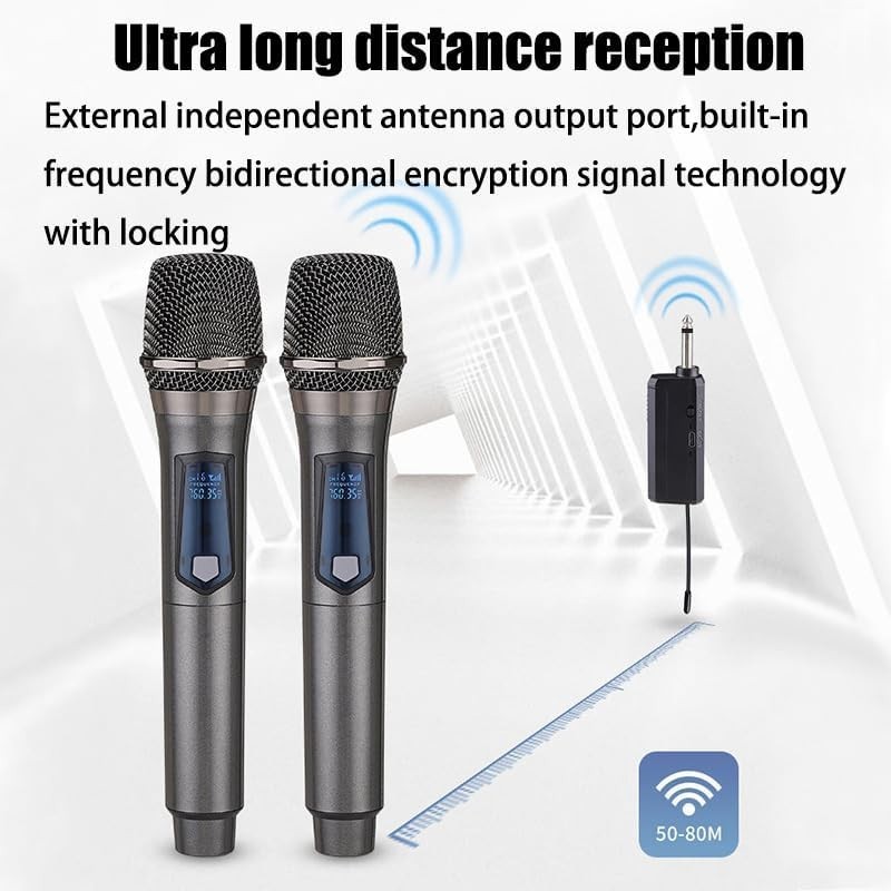 Rechargeable Fixed Frequency Wireless Dual Microphone,Handheld Dynamic Mic