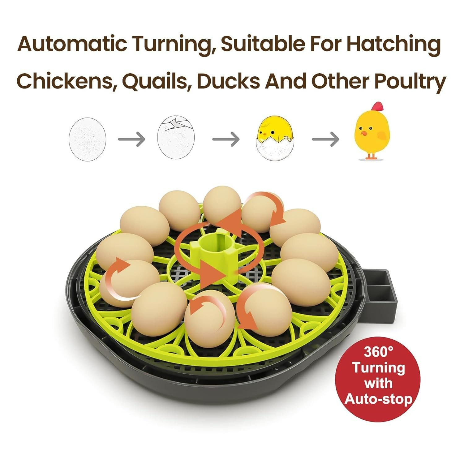 Efficient 12 Egg Incubator with Automatic Turning and Humidity Control Functions
