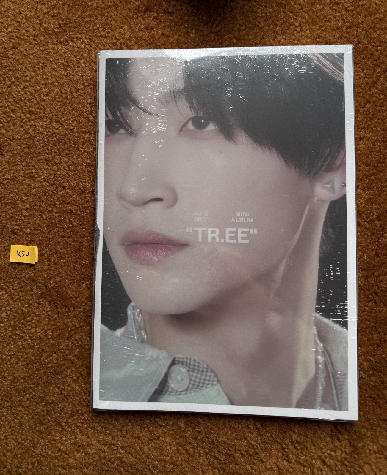 got7 jayb 2026 TR.EE tree [interlude ver] (sealed)