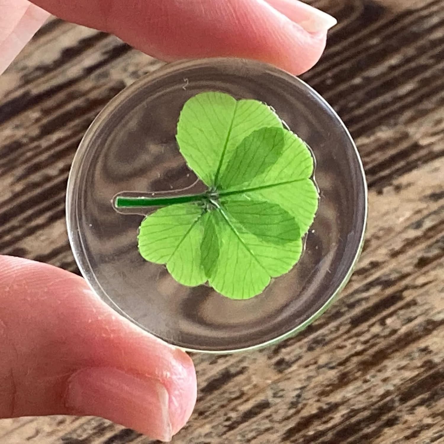 Real Four Leaf Clover Lucky Pocket Token Preserved Flowers Gift