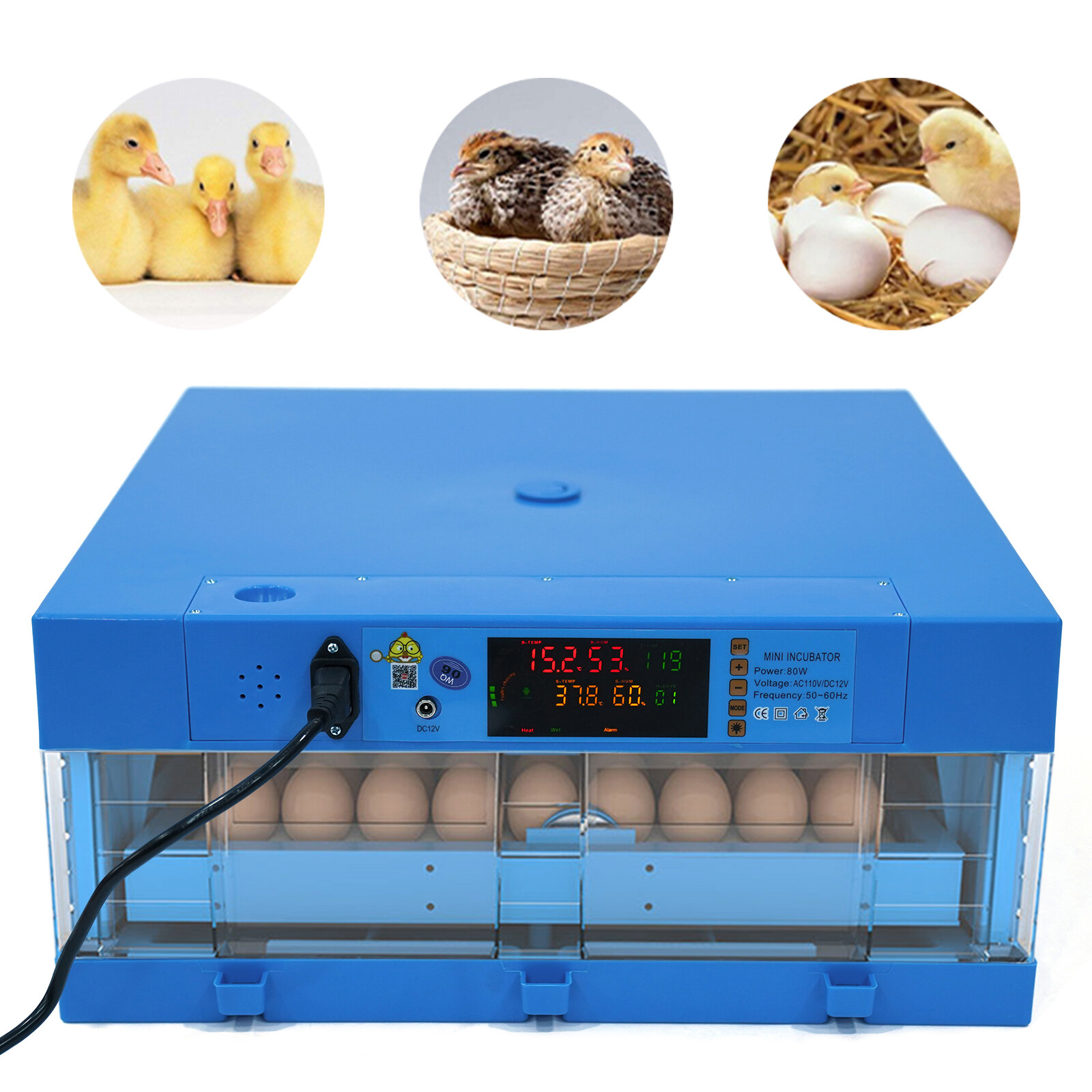Egg Incubator Automatic Chicken Quail Chick Hatcher Incubators for Hatching Eggs