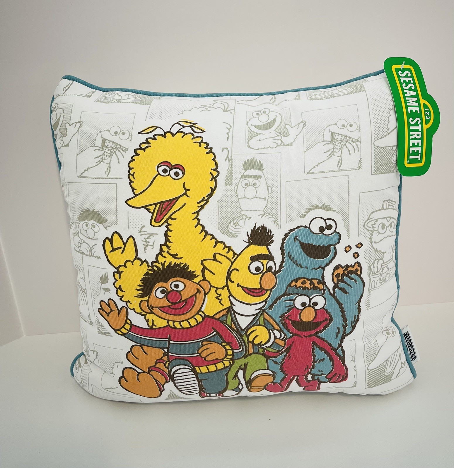 BRAND NEW! SESAME STREET PILLOW WITH ZIP REMOVABLE WASHABLE PILLOW CASES