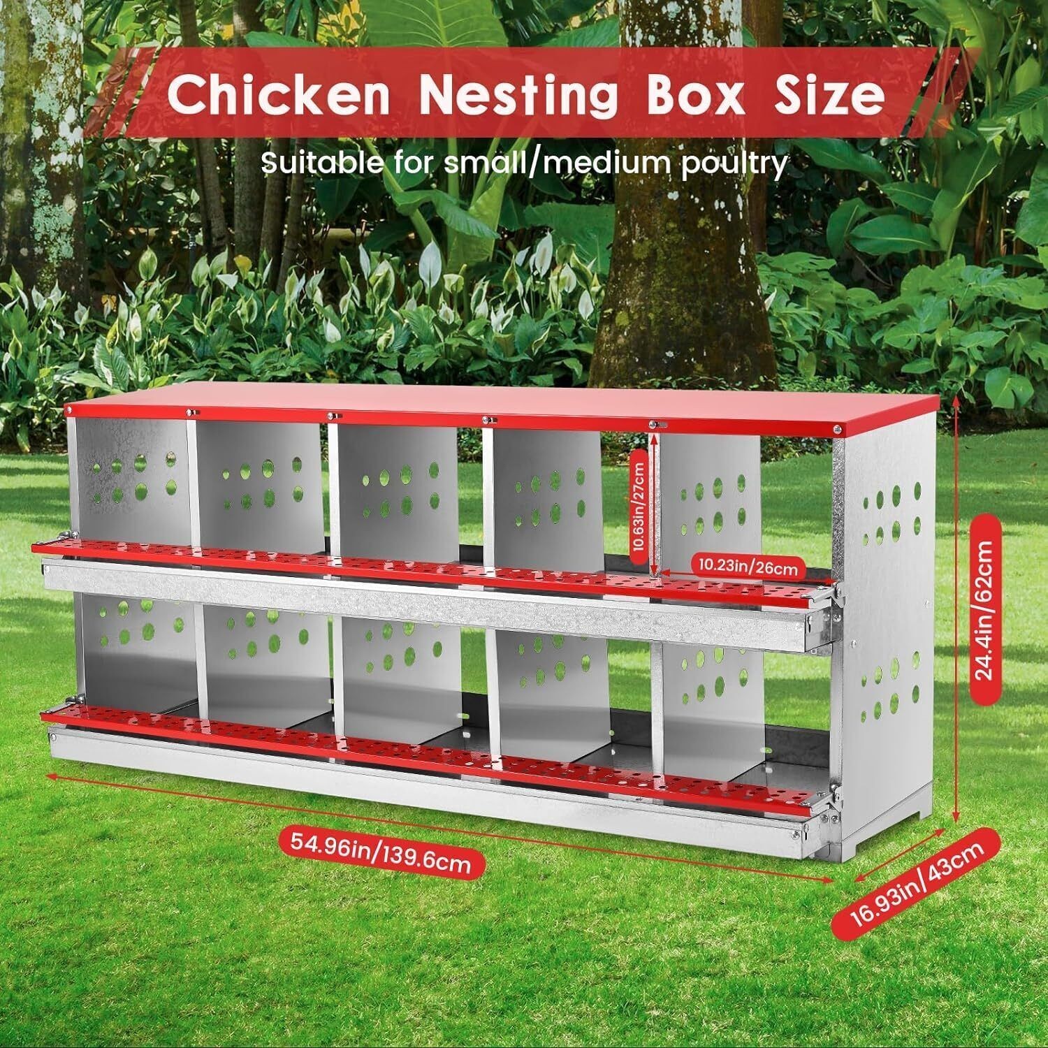 10 Hole Chicken Nesting Boxes Chicken Egg Laying Box with Rollout Egg Collection