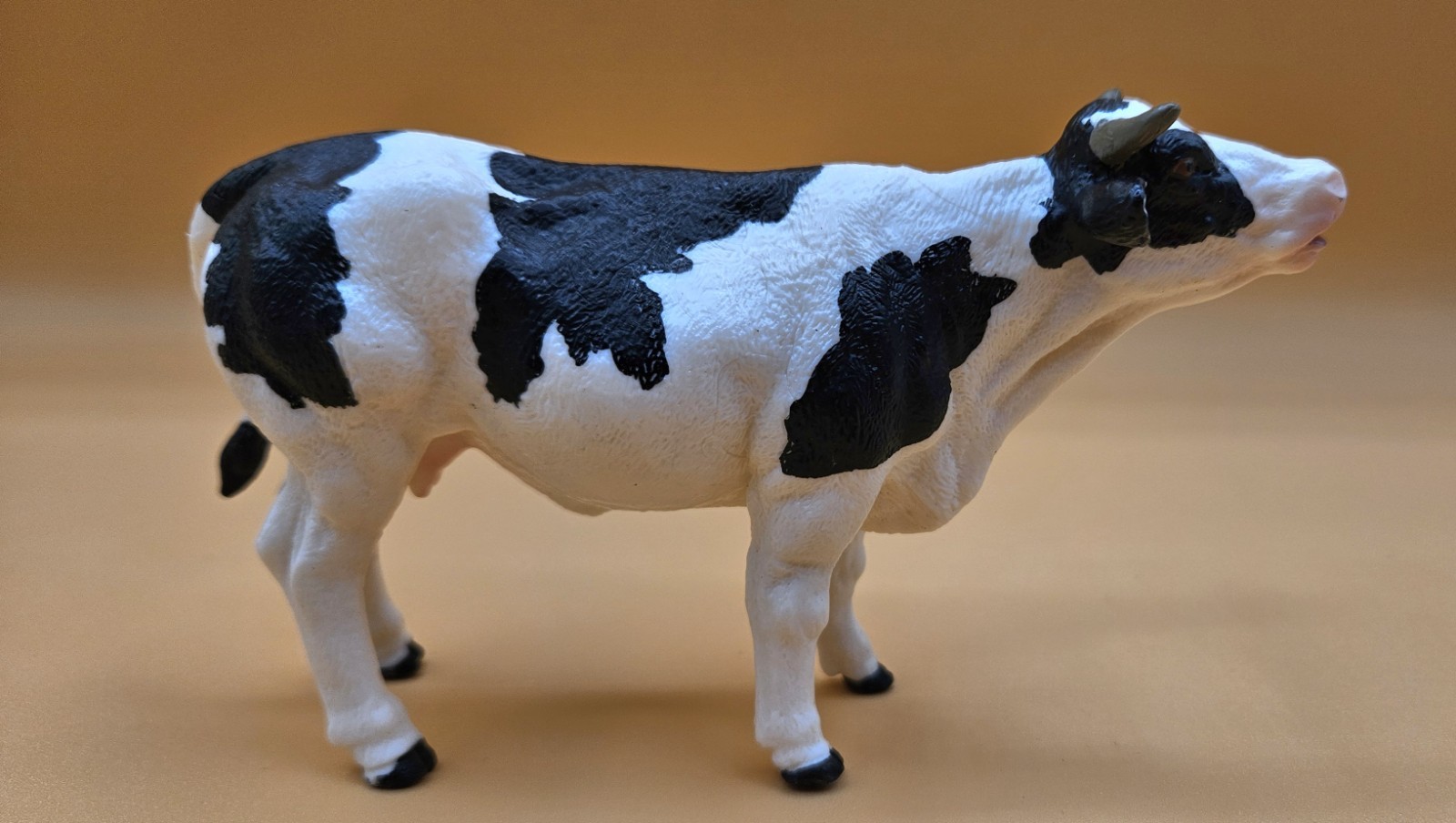 Charolais Cow Figure Toy Gift Child Plastic Figura Vaca Plástico Juguete Niño 51