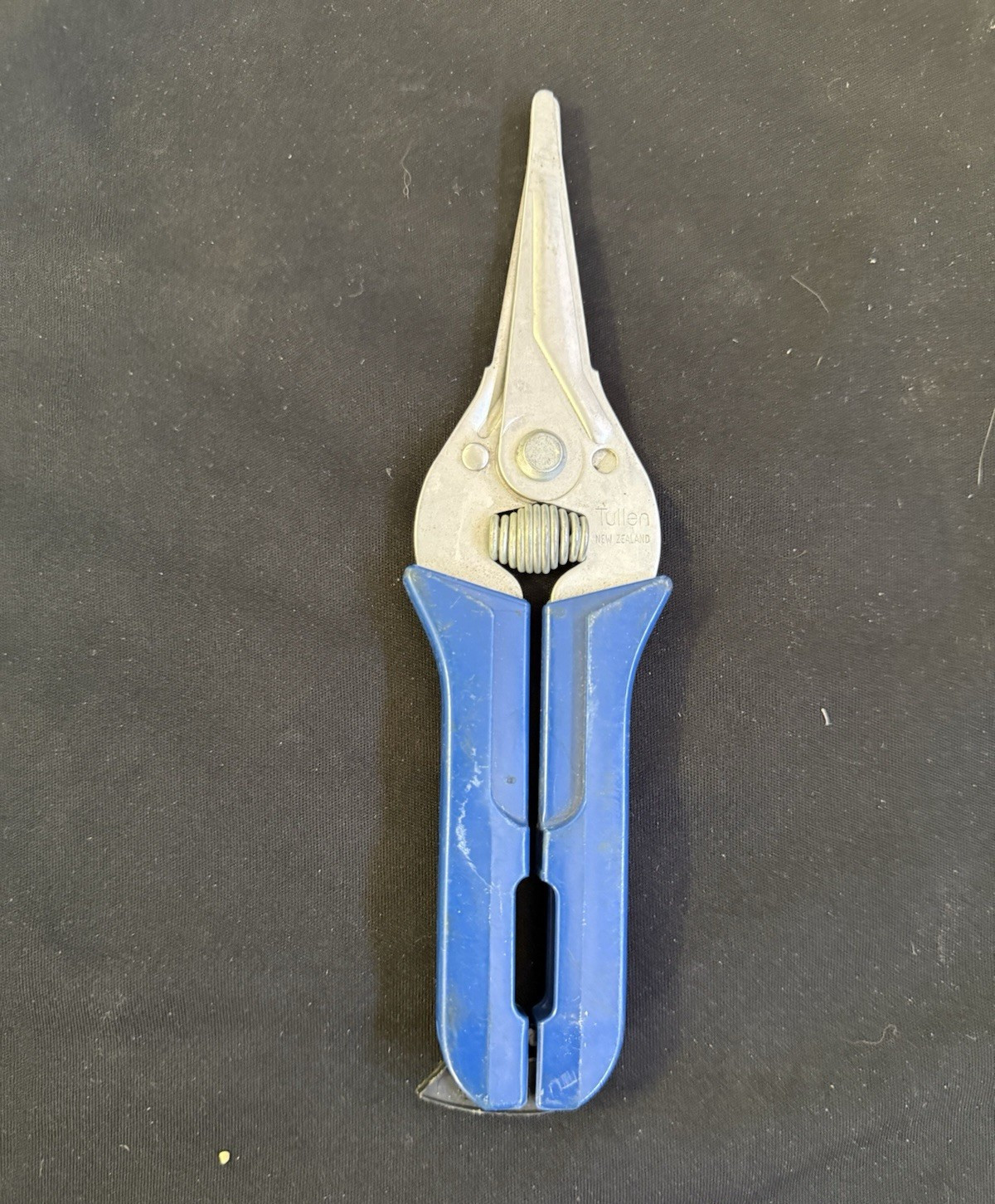 Tullen Made in New Zealand Scissors Steel Blade Width 8 in Blue/Silver