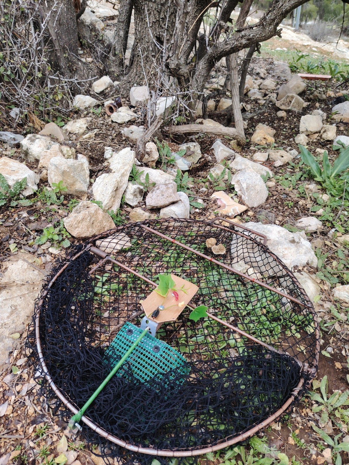 Oval Smart Bird Trap Net – Humane Catching Cage for Sparrows, Pigeons & parrot
