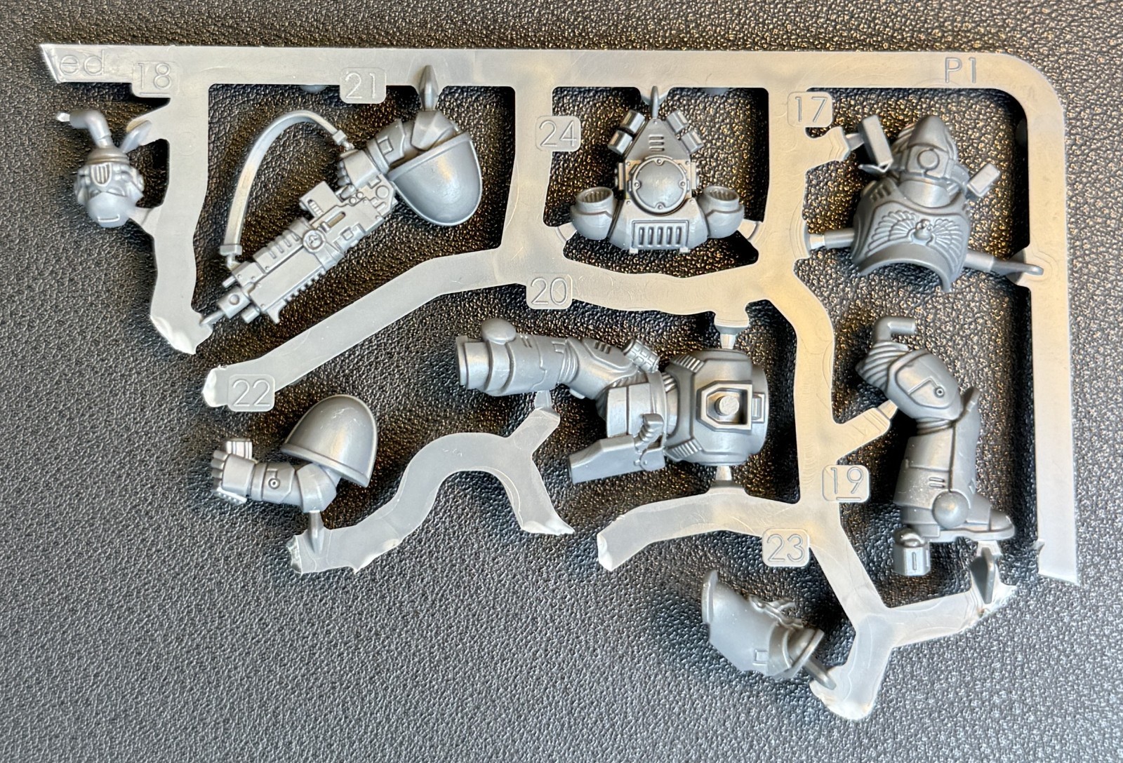 Intercessor B Space Marines Bolt Rifle Armageddon Warhammer 40k - NoS (x1)