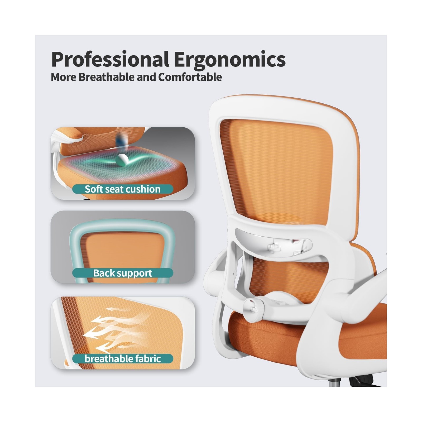 Ergonomic Office Desk Chair w/ Adjustable Lumbar Support + Adjustable Backrest