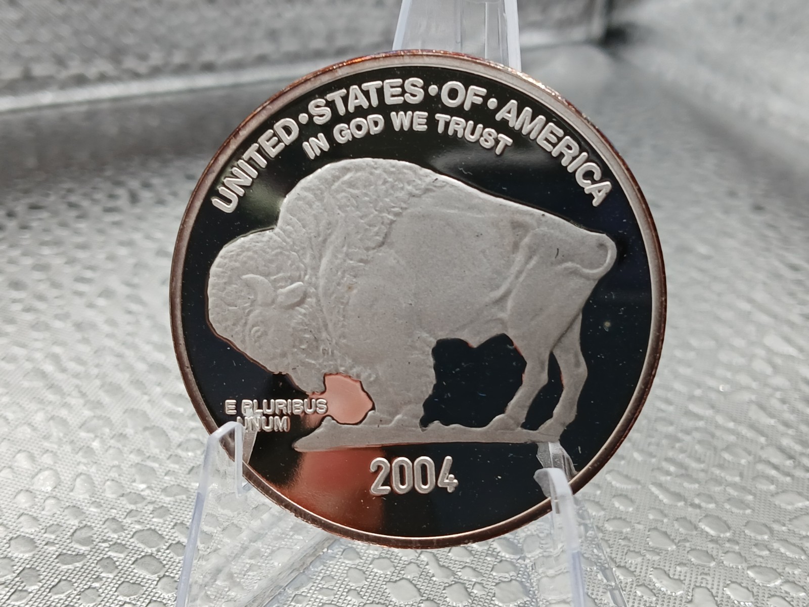 2004 National collector's Mint Coin with Indian and Buffalo Copy