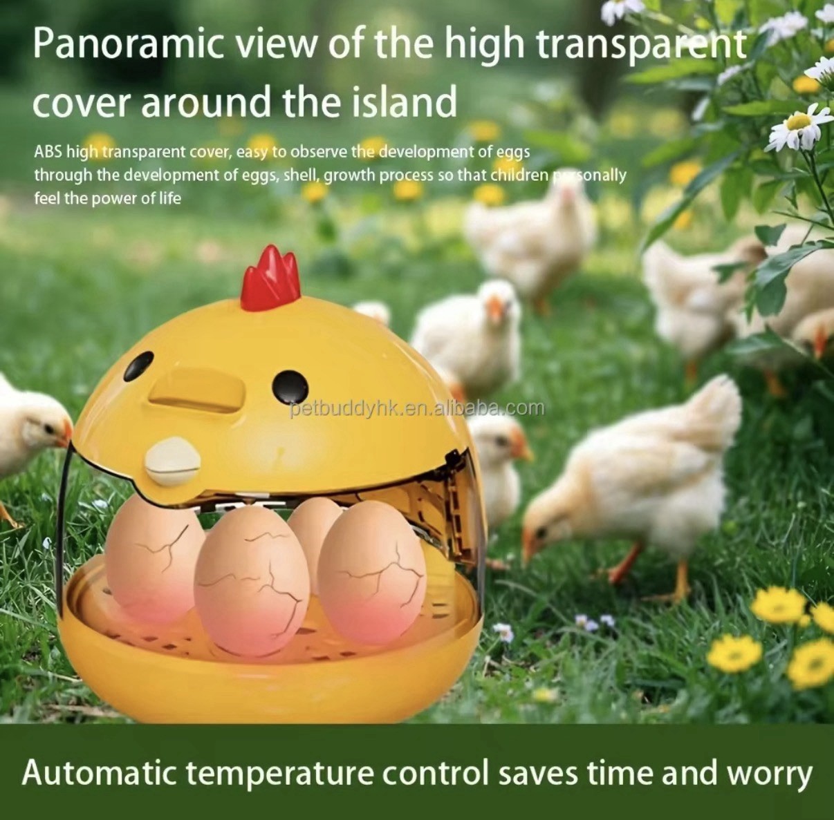 Incubator for Hatching Eggs-4 Egg Capacity Temperature Control, 360° Viewing