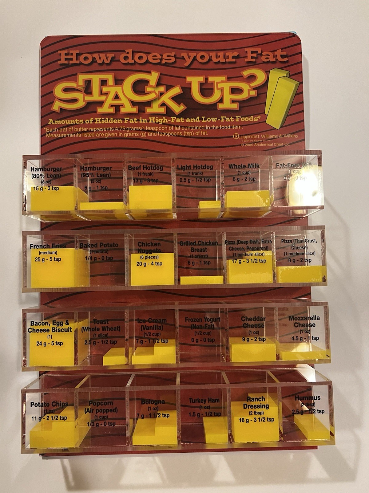 Anatomical Chart Company: How Does Your Fat Stack Up? Model