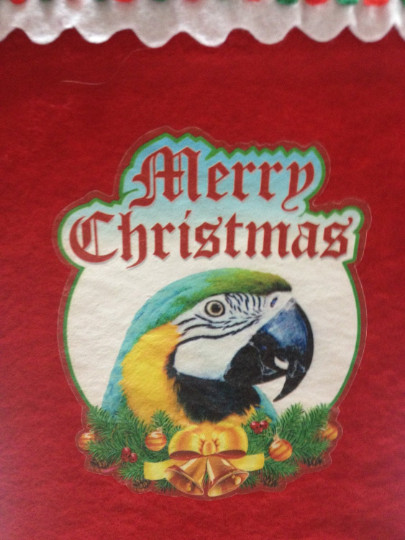 SALE!  Blue & Gold Macaw Parrot Exotic Bird Holiday Christmas Stockings