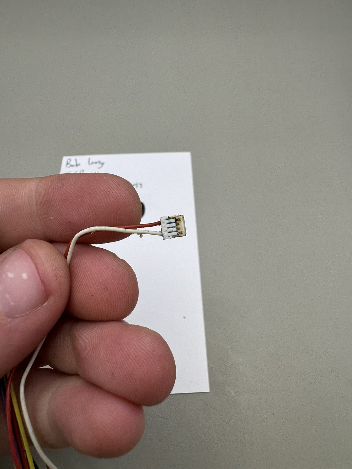 Bob Long G6R Eye Wire Harness